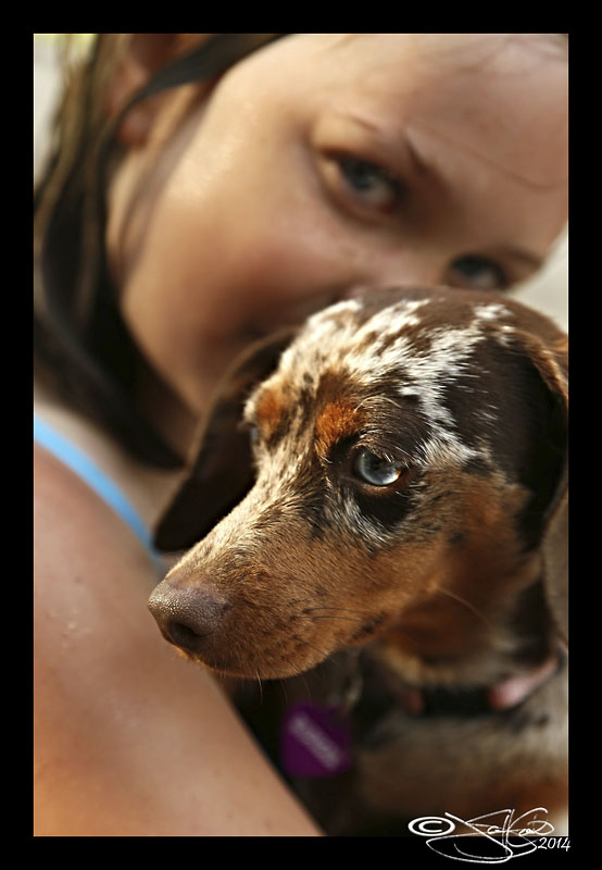 Up Close and Personal