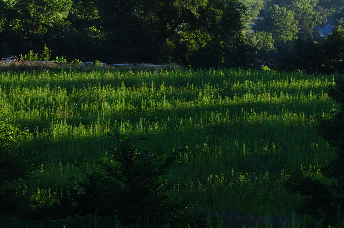 Sunrise Shadows