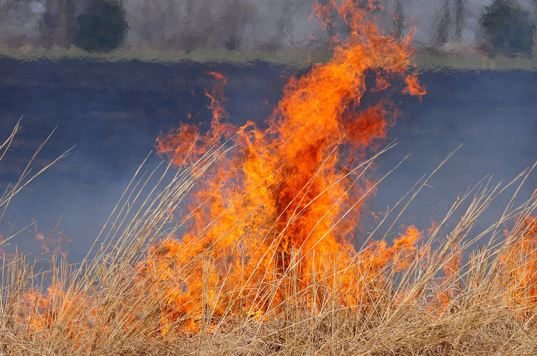 Controlled Burning at Jim Grace Farms