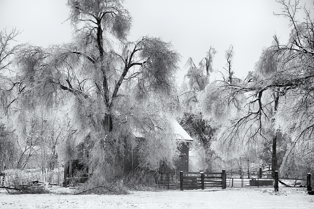 Ice Storm & Barn