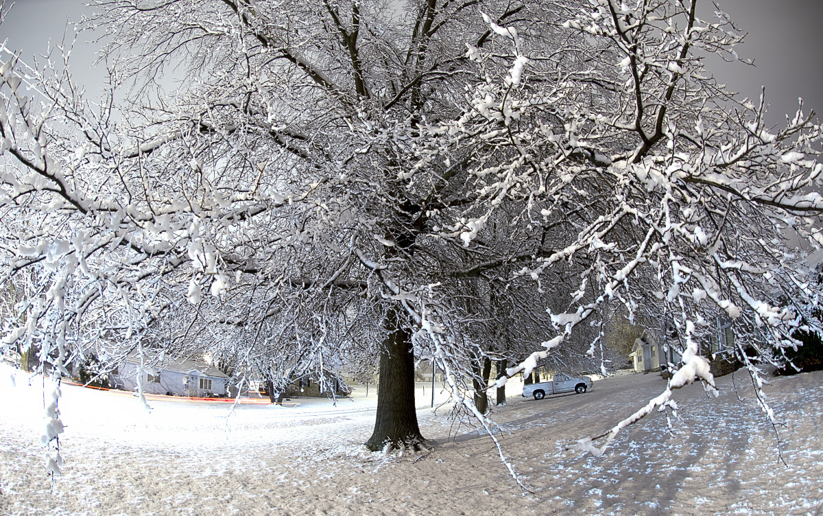 Snowy Morning