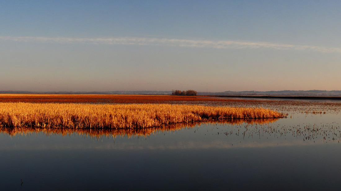 Pelican Pool