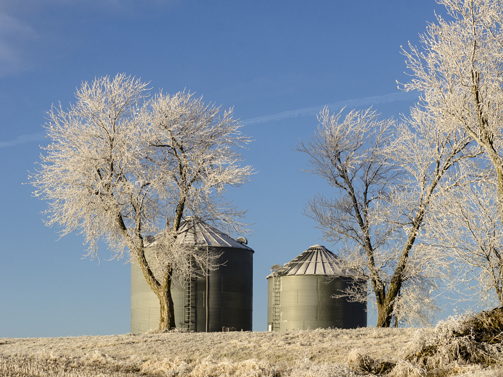 Frozen Fog Display