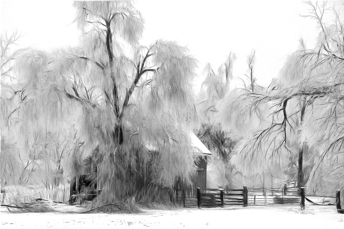 Ice Storm & Barn (B&W Impression)