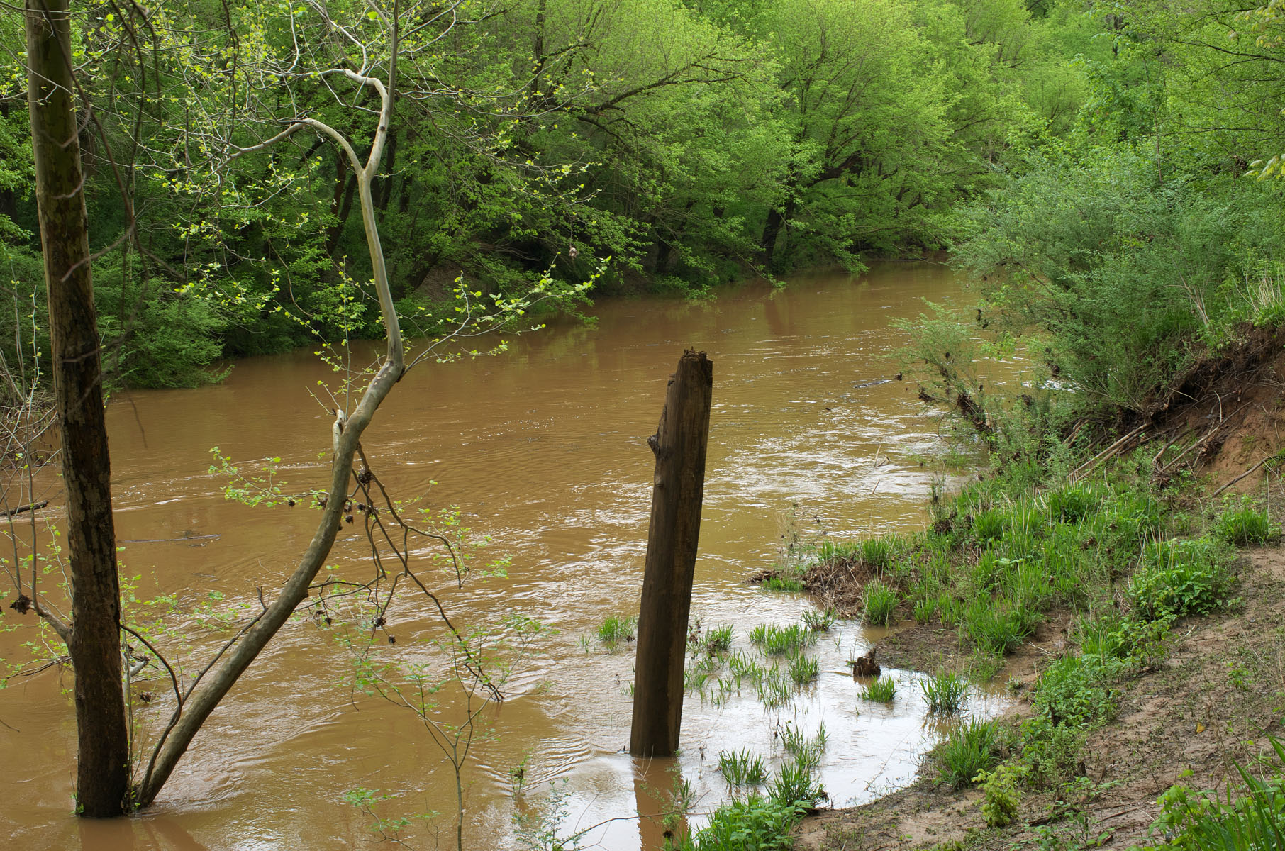 Stevens Creek Heritage Preserve