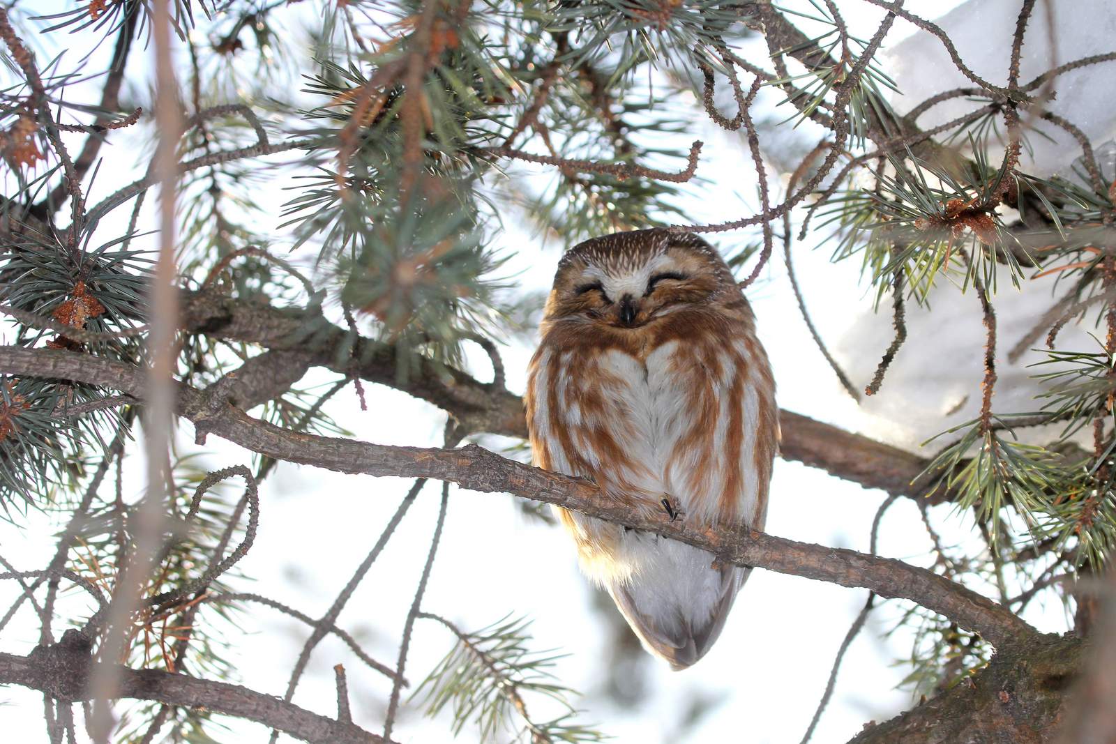  LA PHOTO DU JOUR....  du  27 janvier 2014