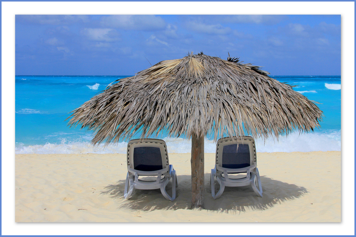  Dans quel endroit aimeriez-vous vous promener ?