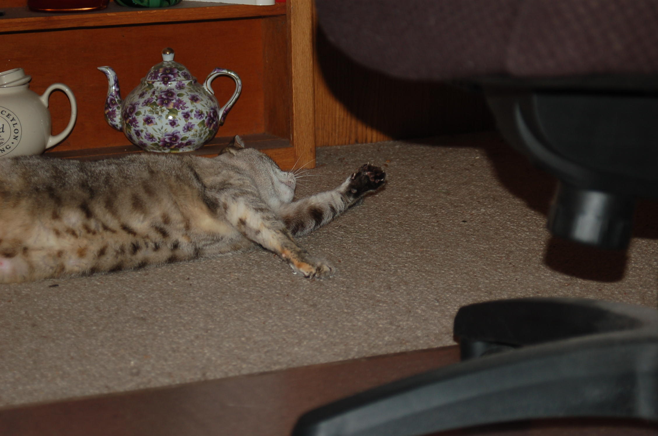 DSC_1799.JPG