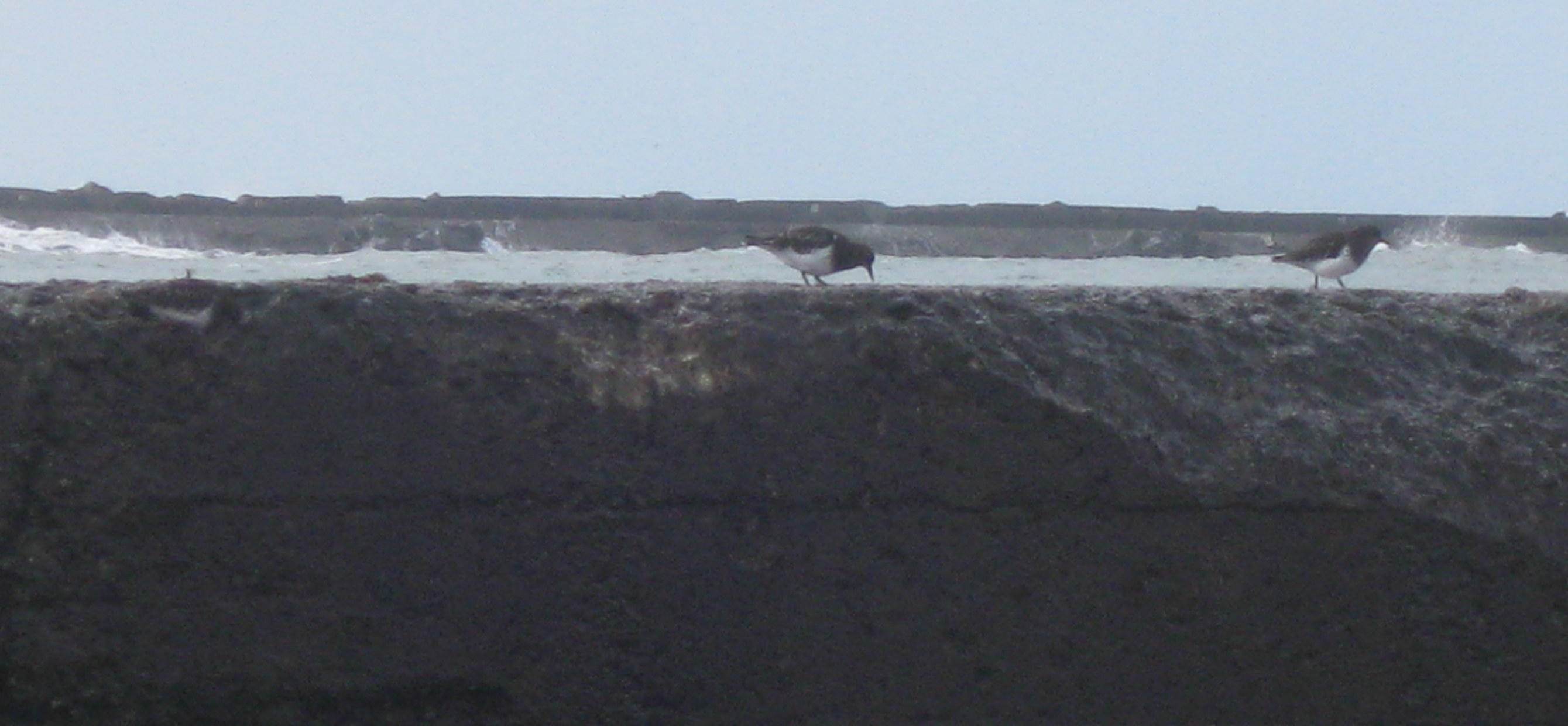 North Jetty 1.1.2017