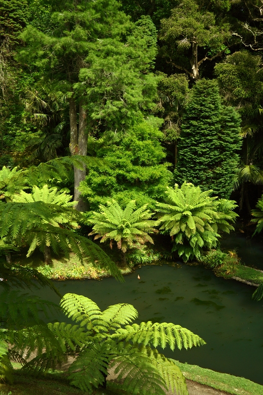 Terra Nostra Gardens, Furnas