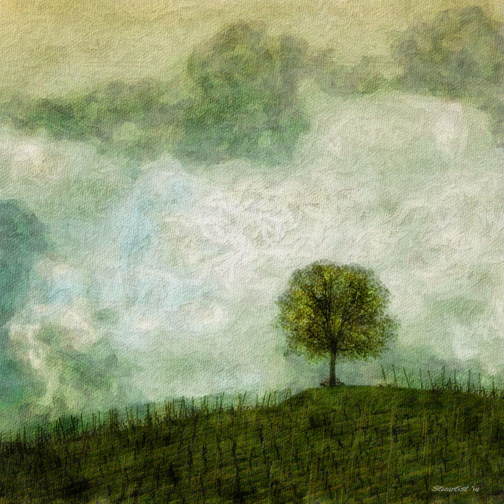 Tree on Hill by Stuartist, February, 2014