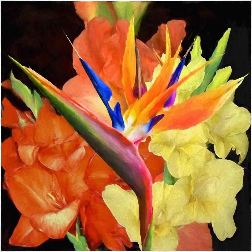 Bird Of Paradise and Gladiolas