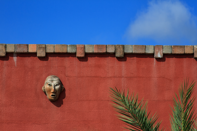 mask and palm