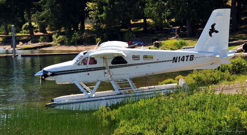 slowly taxi into water