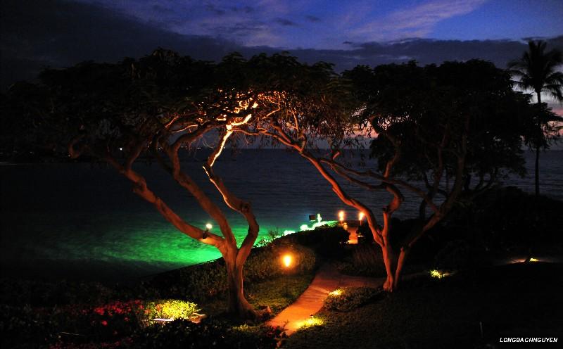 Mauna Kea Resort