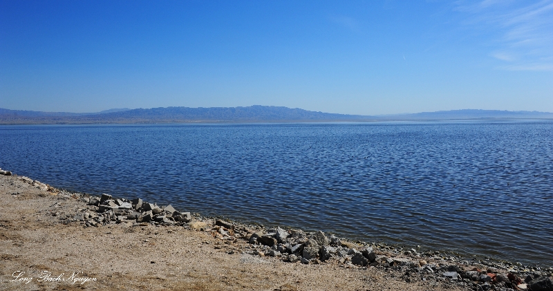 Salton Sea, Desert Shores, CA  