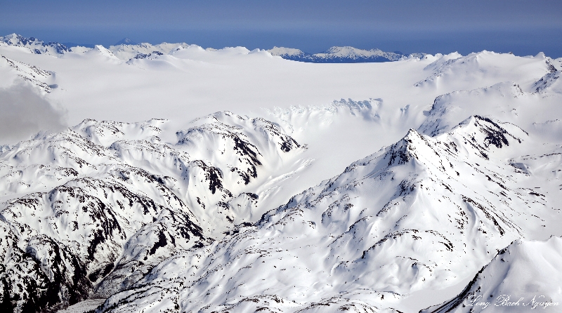 Kenai Fjords National Park, Kenai Mountains, Kenai Peninsula, Alaska 