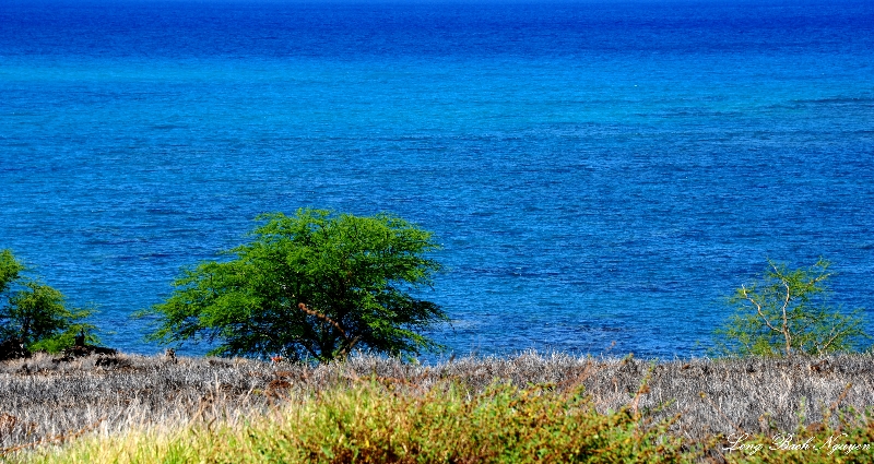 blue and green  