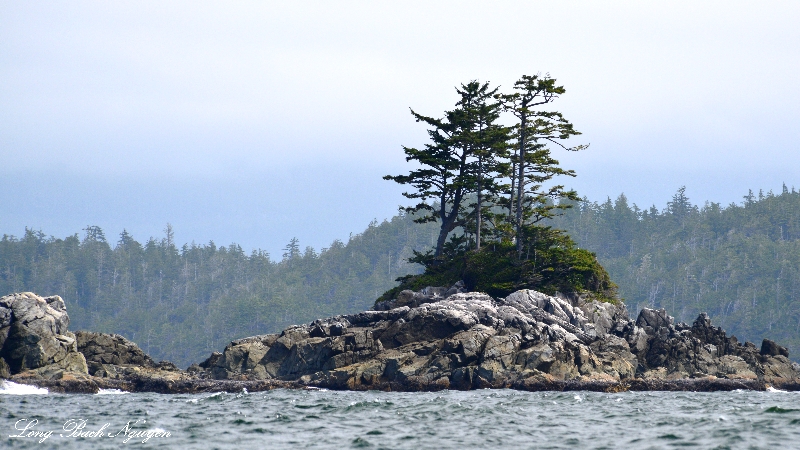 Island in the Broken Group, Barkley Sound, Vancouver Island, Canada  