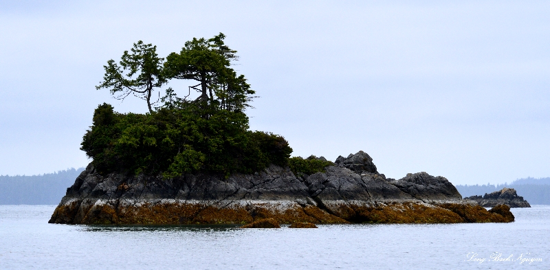 Broken Group Island, Barkley Sound, Vancouver Island, Canada  