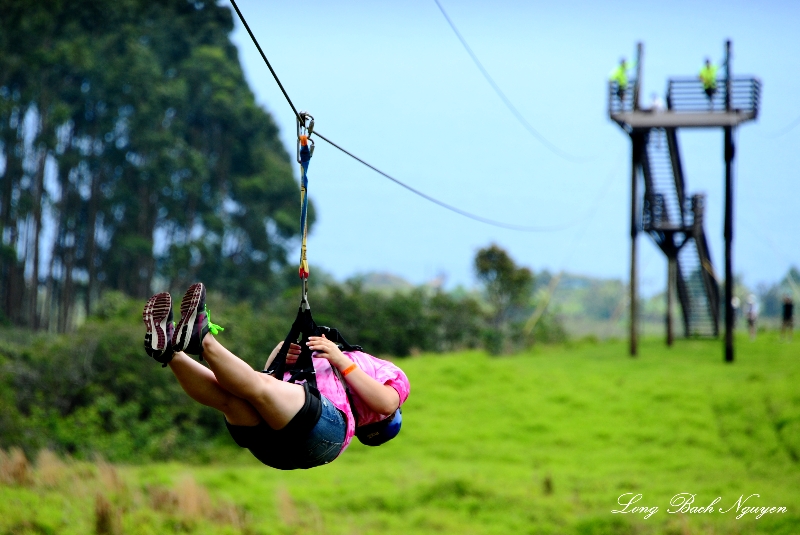 pro zipliner  