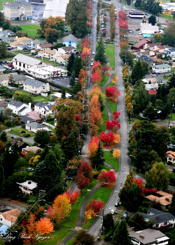 Beacon Avenue, Seattle, Washington 