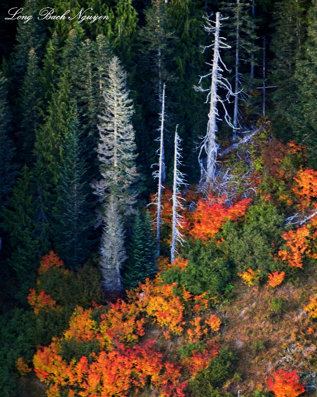 fall foliage over Cascade Mountains Washington 