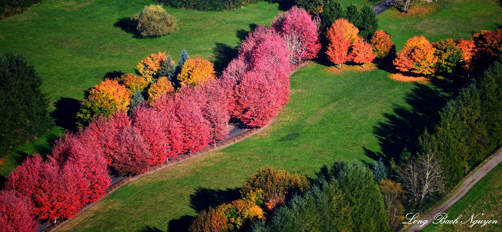 Colorful Driveway, North Bend, Washington  
