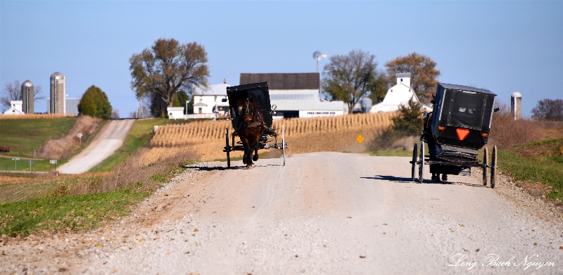 coming and going, Iowa  