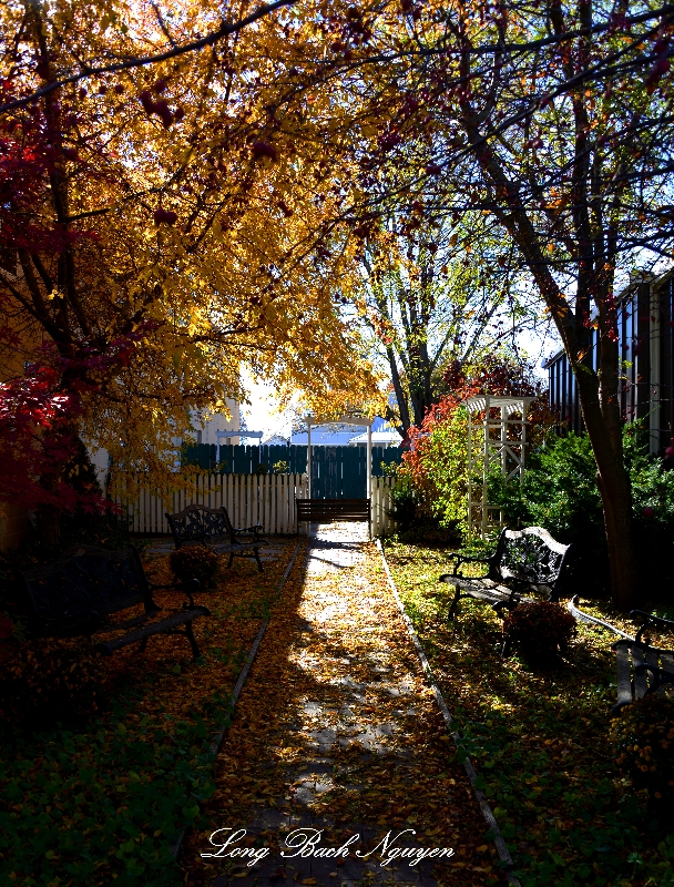 Small garden, Kalona, Iowa  
