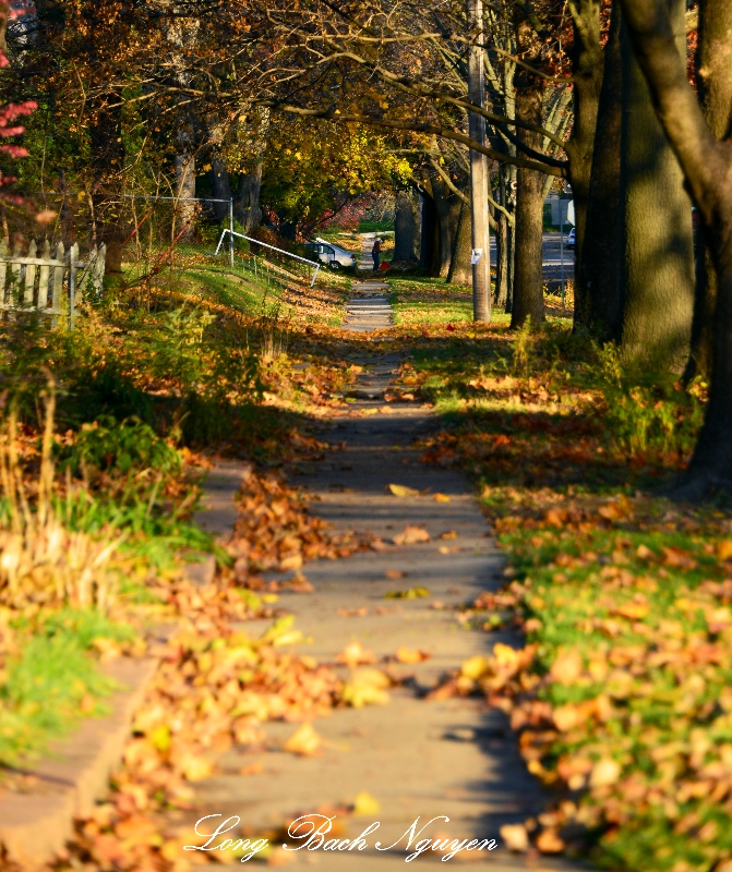 Raking the leaves, Iowa City, Iowa  