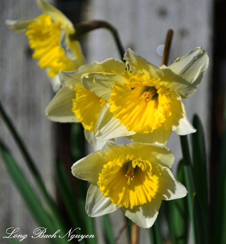 Spring 2014 