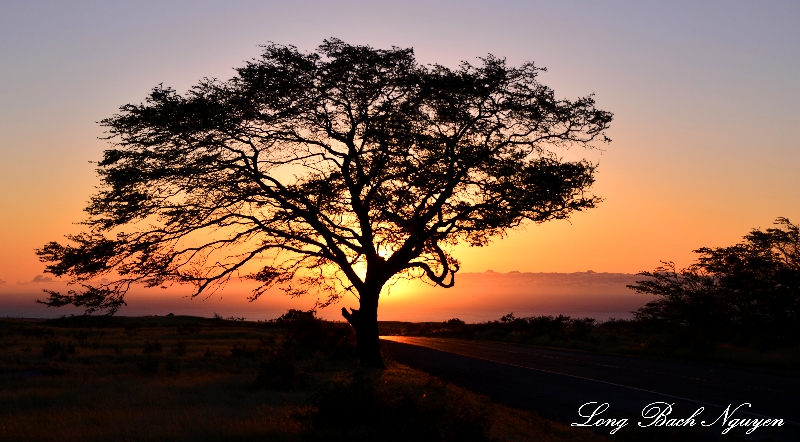 Sunset on Waikoloa Road, Big Island, Hawaii  