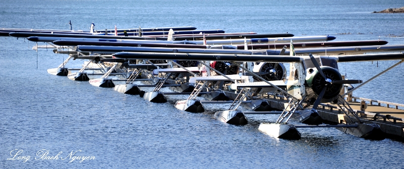 Beaver Floatplanes, BOPA, Dent Island Lodge, Canada  