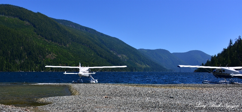 DHC-2 Beaver Floatplanes on Nahmint Lake Vancouver Island Canada  
