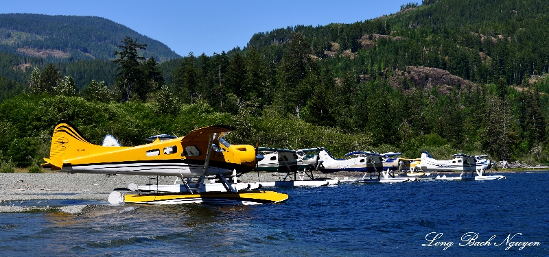 DHC-2 Beaver Floatplanes on Nahmint Lake Vancouver Island Canada 