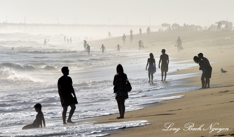 Meander to the Pier 