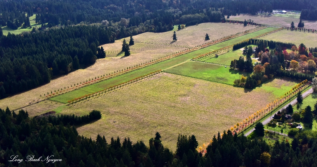 Wax Orchard Airport Vashon Island Washington  