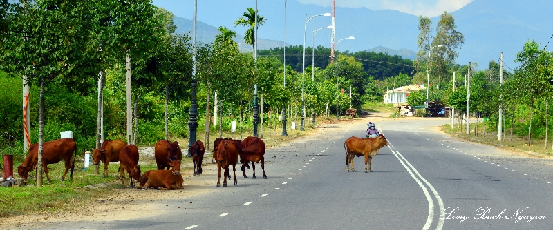 Dont Miind Us, Da Nang Vietnam  