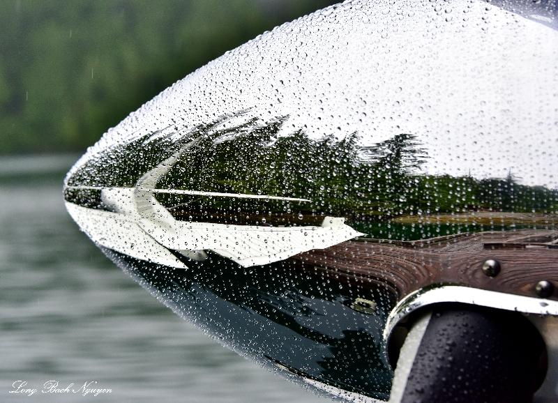 DHC-2 Spinner 