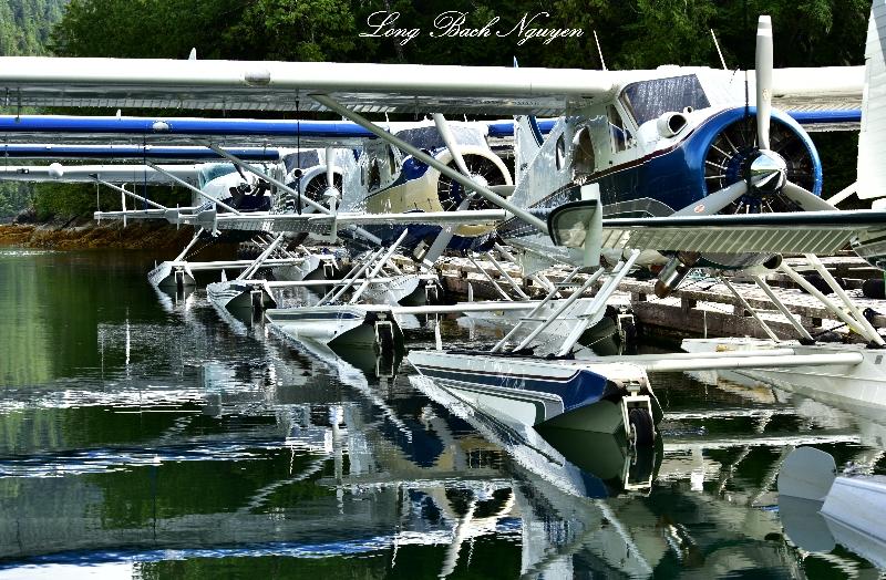DHC-2 Beavers and Caravan at Eagle Nook Resort,  Vancouver Island Canada  