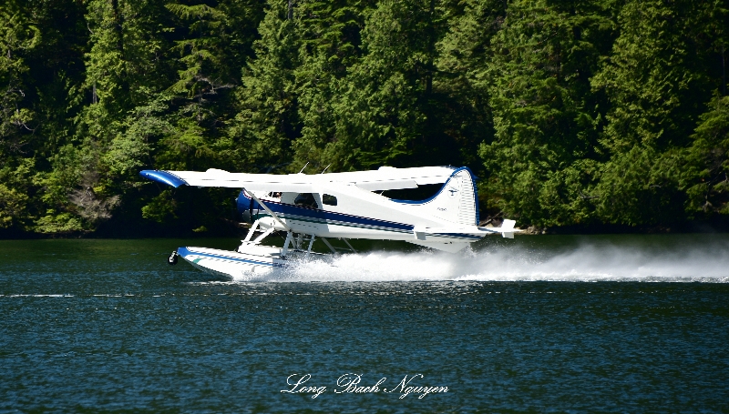 N429KS Jane Bay Vancouver Island Canada    