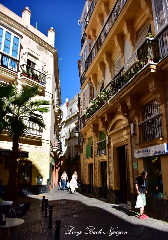 Callejon Cardoso Cadiz Andalusia 