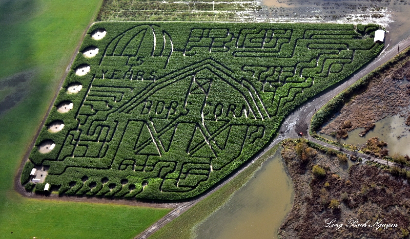 Bobs Corn Maze, Snohomish, Washington  
