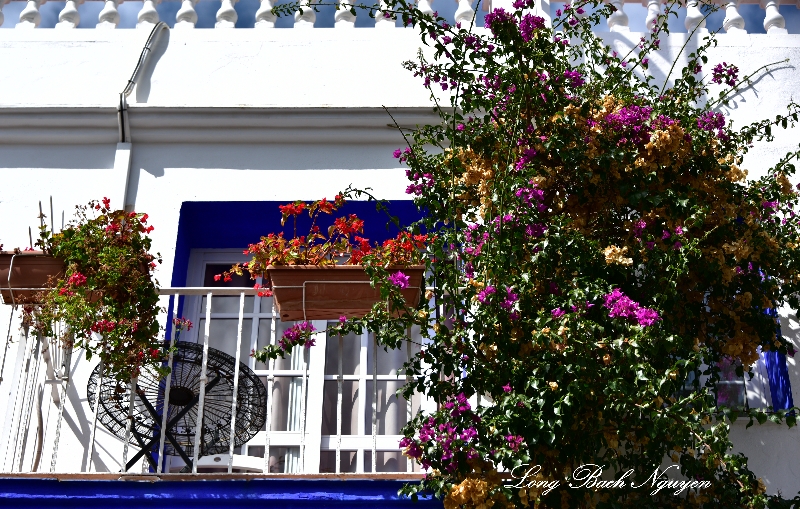 Balcony and Planters, Marbella, Spain  