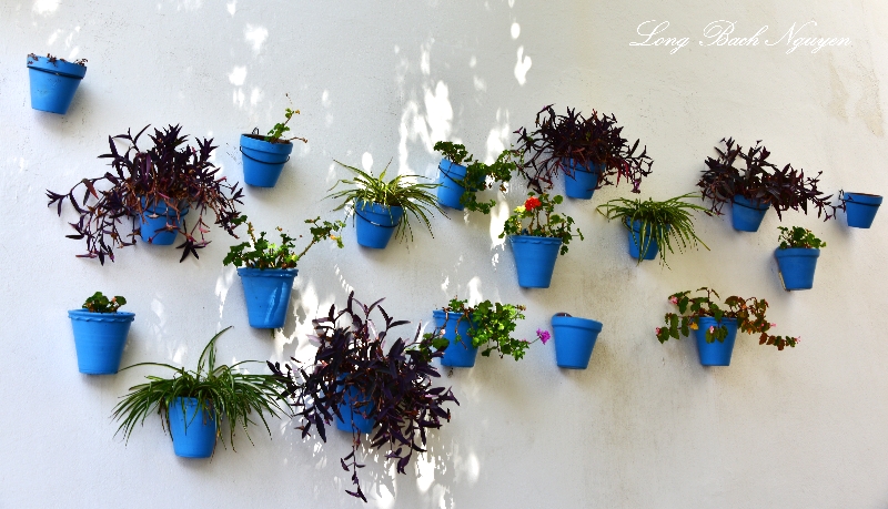 Blue Flower Pots, Marbella, Spain 184 