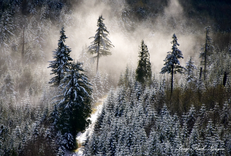 First Snow of Season, November 15 2015    