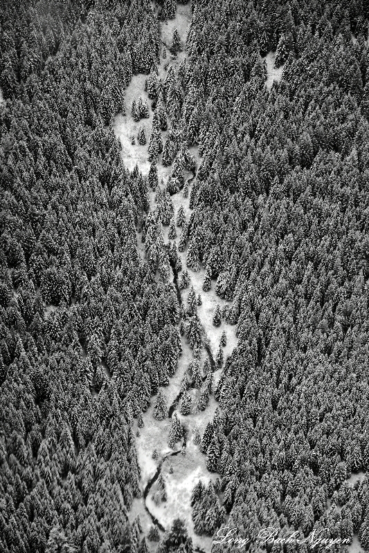 Goat Creek, Goat Mountain, Cascade Mountains WA 122 