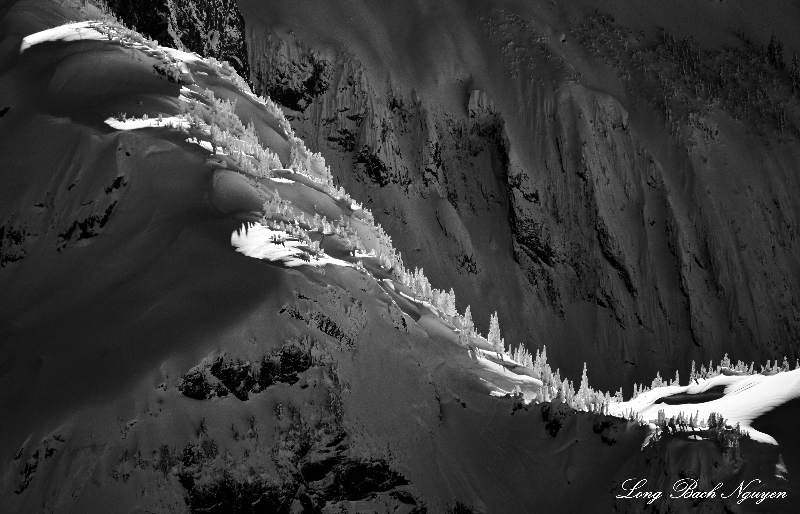 Life on Shuksan Arm, Mount Shuksan, North Cascades Mountain and Recreational Area, Washington 338  