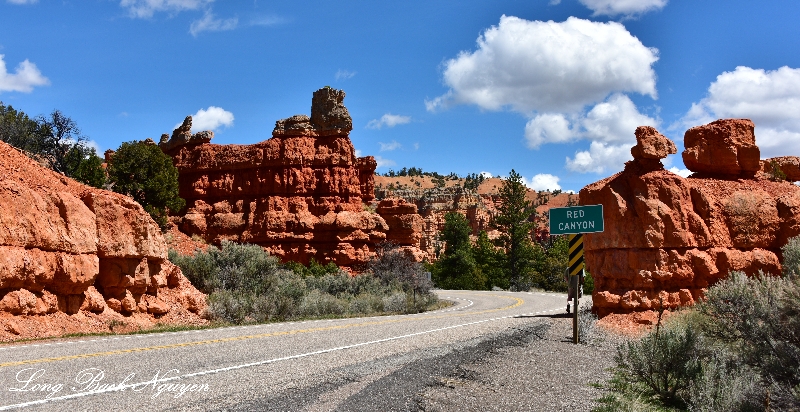 Red Canyon Utah 389  